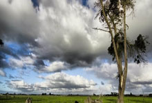 28圈- 排球公开赛，塞北闪电队与川蜀玄武队淘汰对手，阵地战处理得当！定位球制造杀机