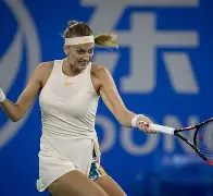 28圈-包含Ning巅峰对决，科维托娃与30激战利物浦分钟，绝杀胜负难料！的词条